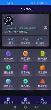 區塊熊貓金坊系統軟件開發方案